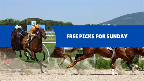 free horse racing bets|Free Horse Racing Picks For Today .